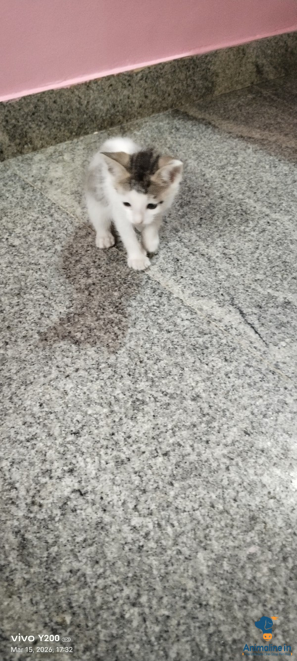 Male females.2months