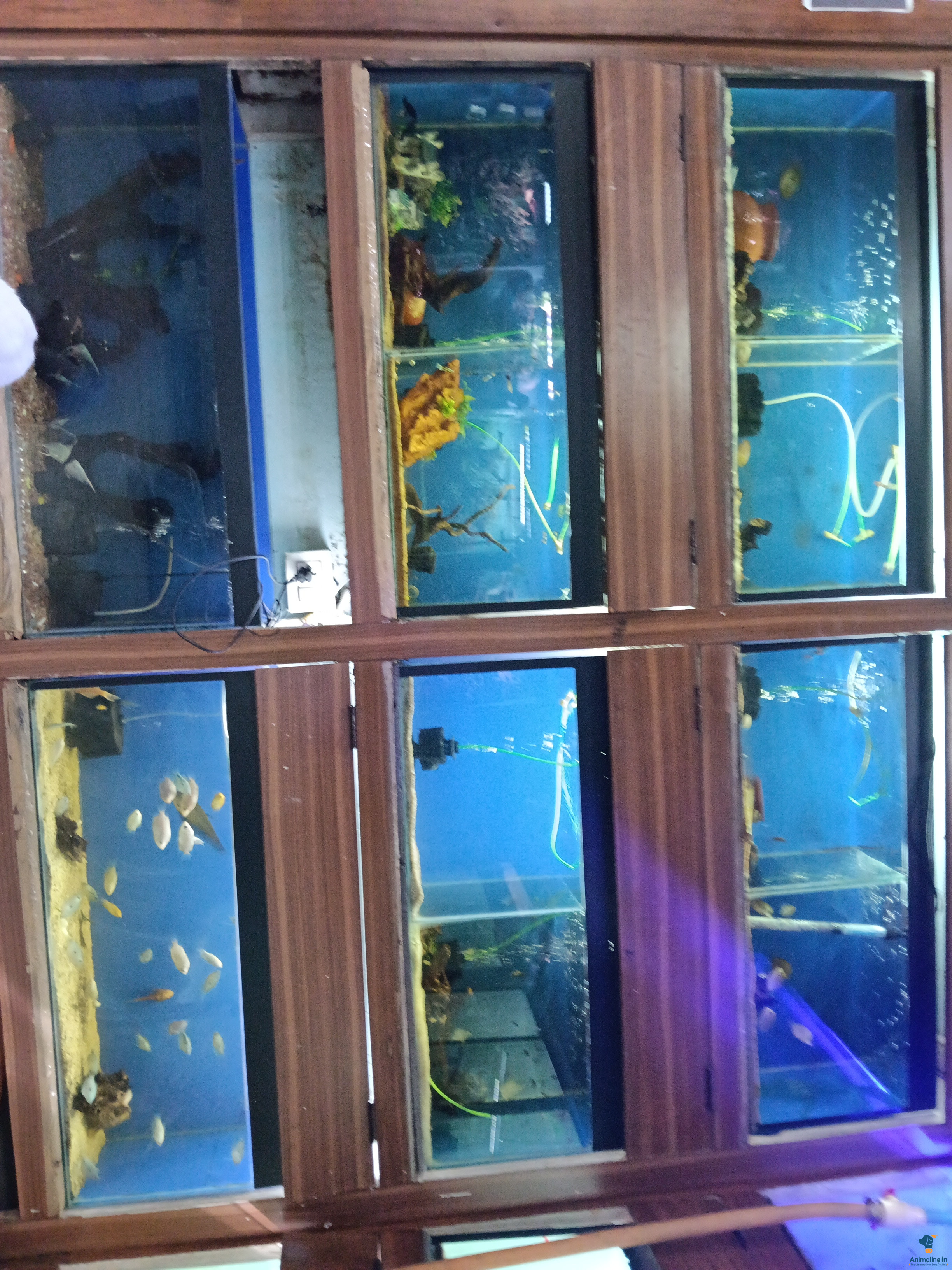 2nd hand tank for sale at reasonable price 