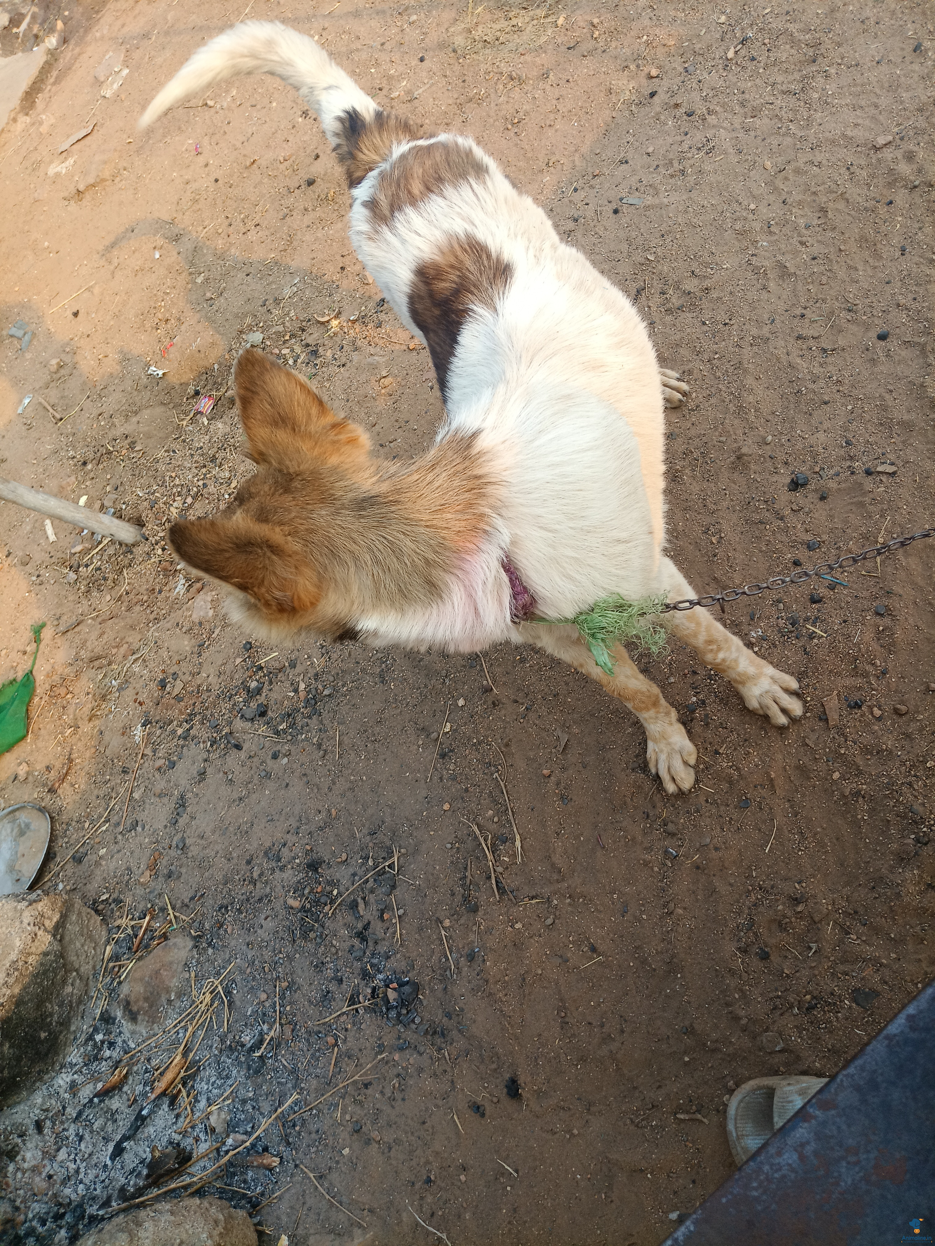 ai_suggestion_title_3