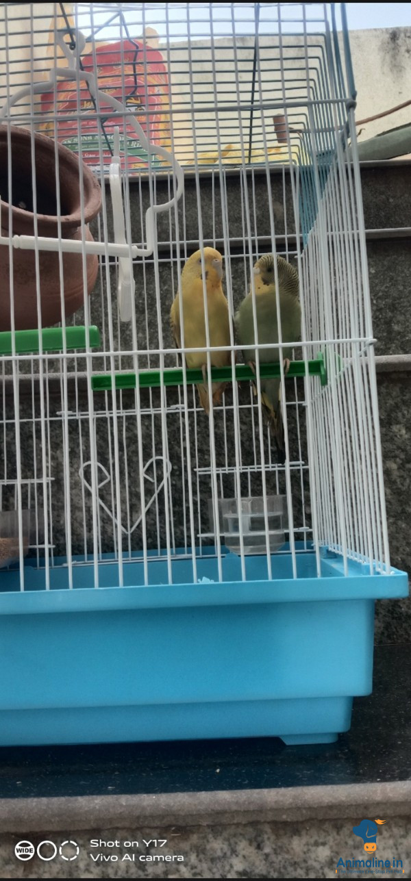 Male and fimale