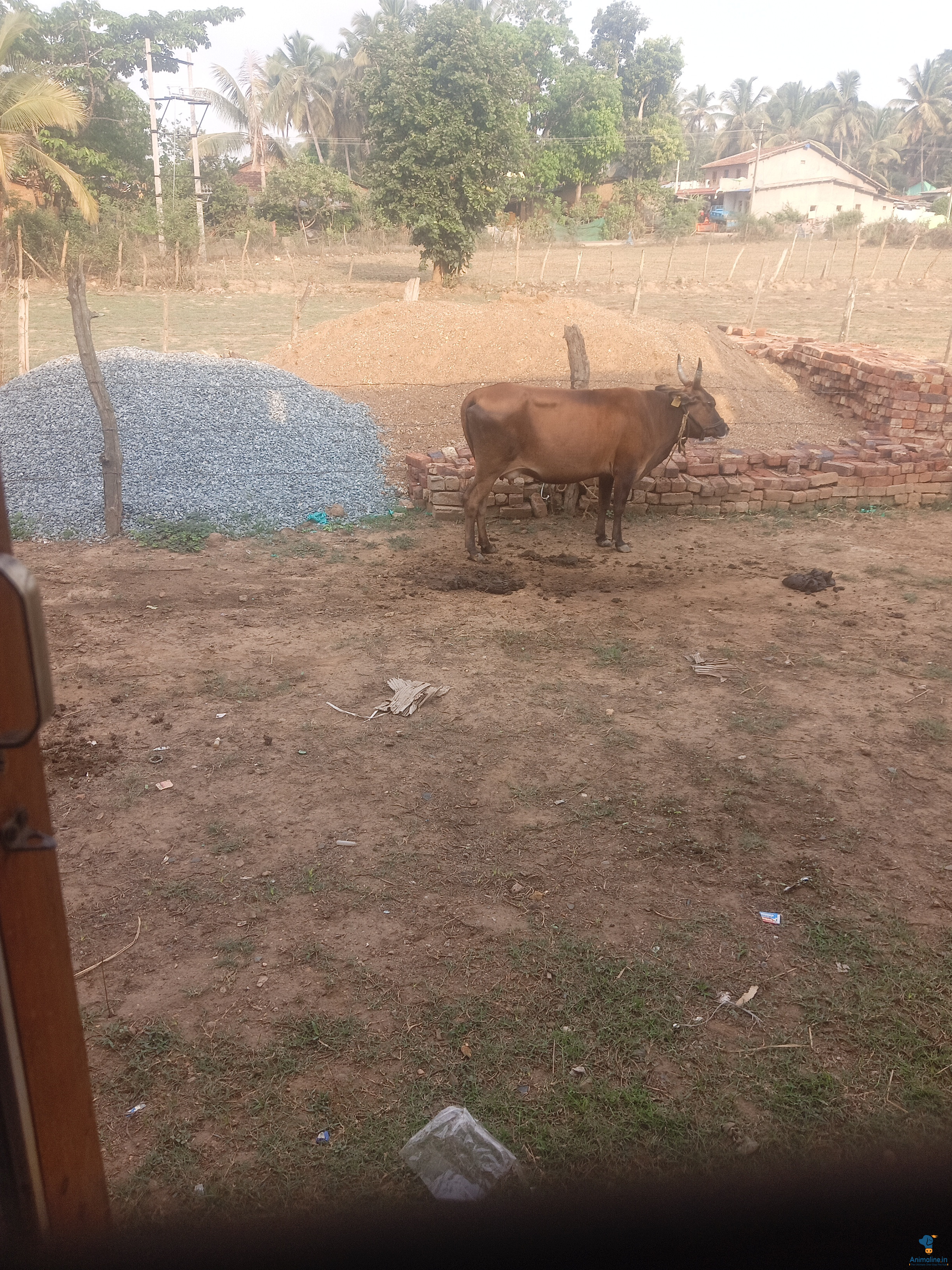 ಮಾರಾಟಕ್ಕಿದೆ ಆರೋಗ್ಯಕರ