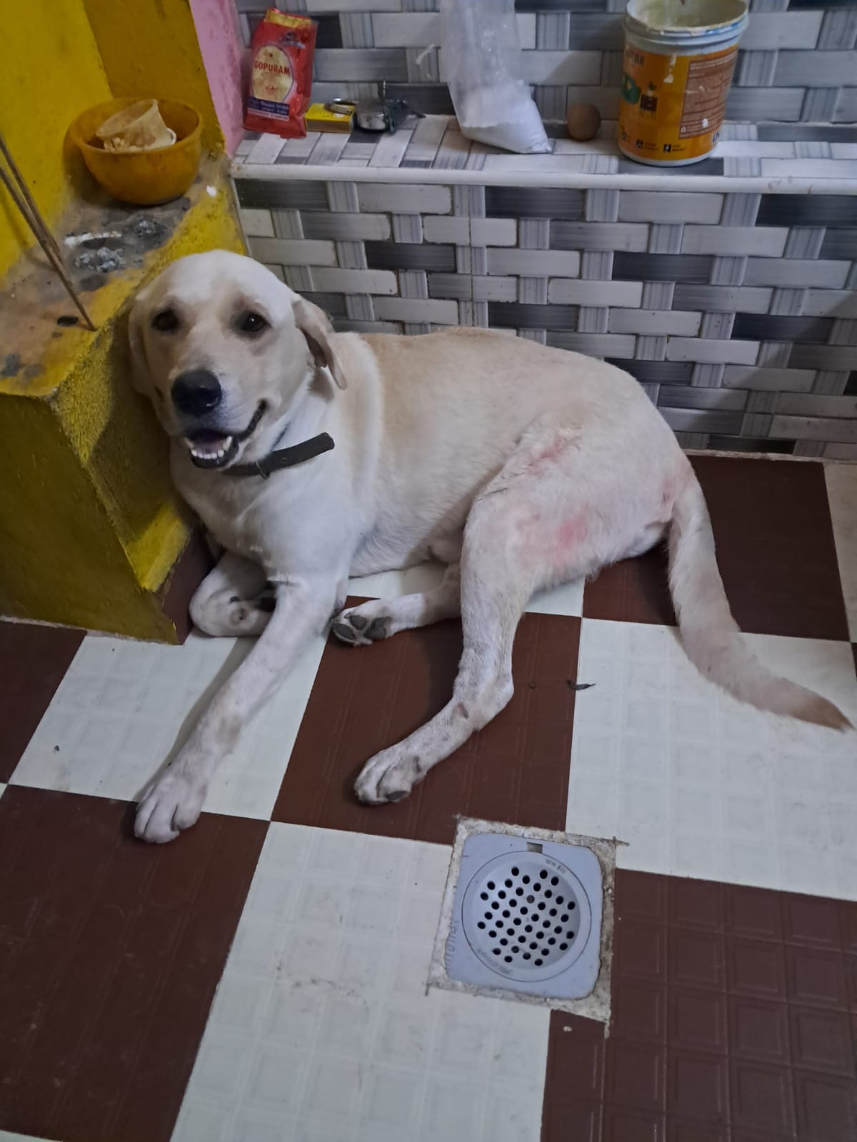 Lab