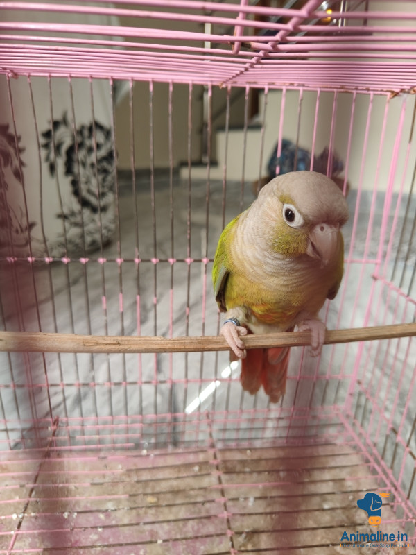 1 years old 
