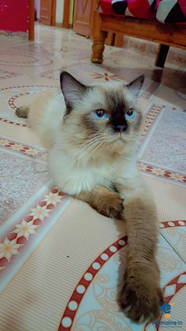11 month old
