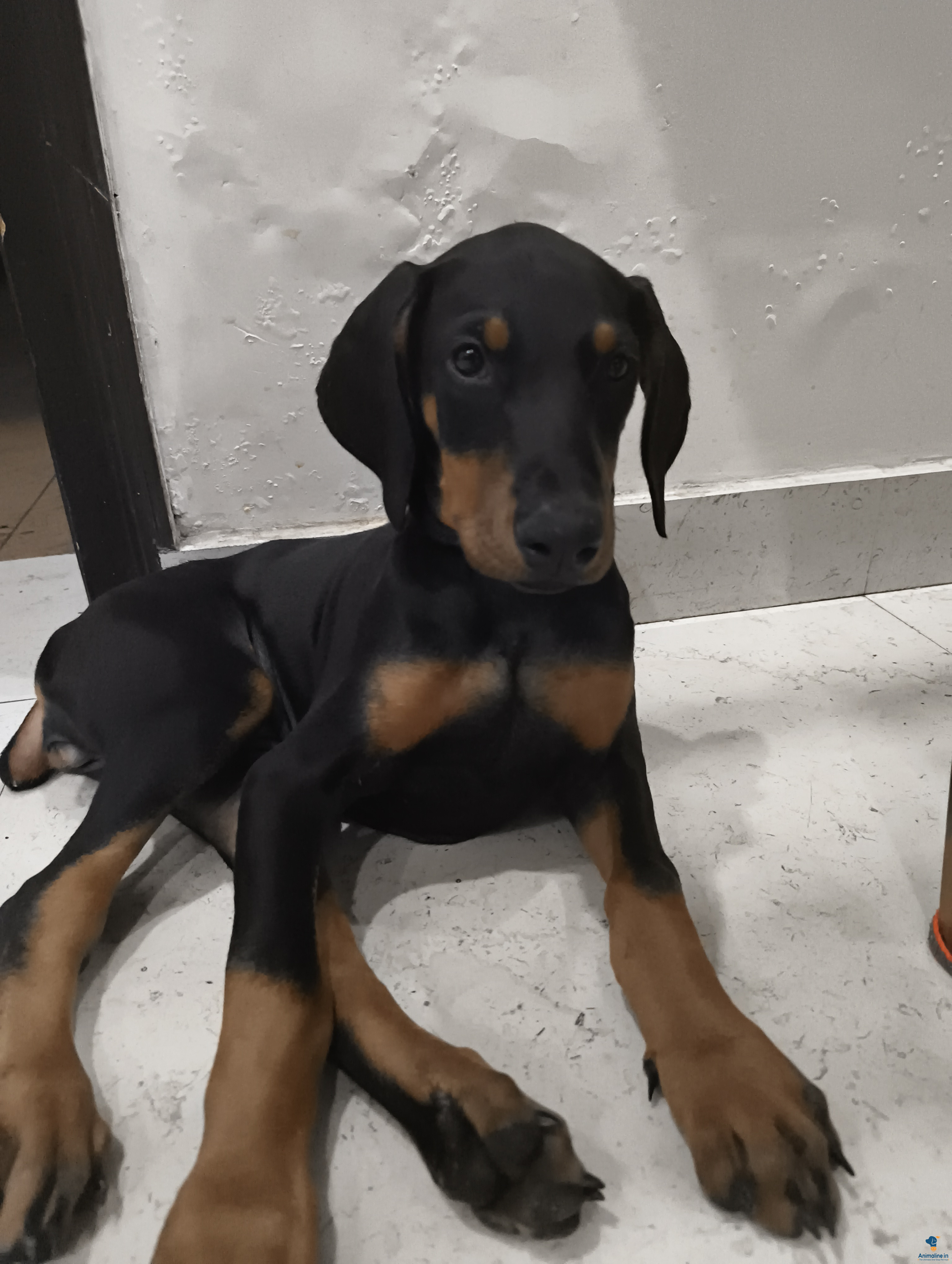 2 months and 4 days old