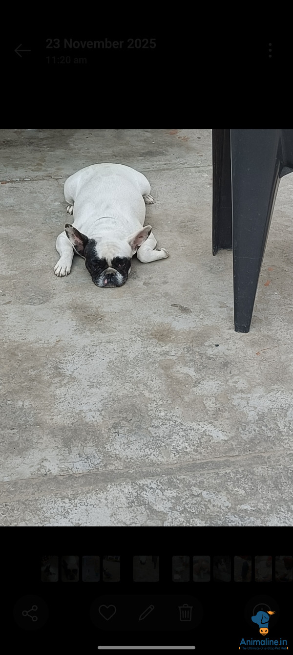 4 years old 