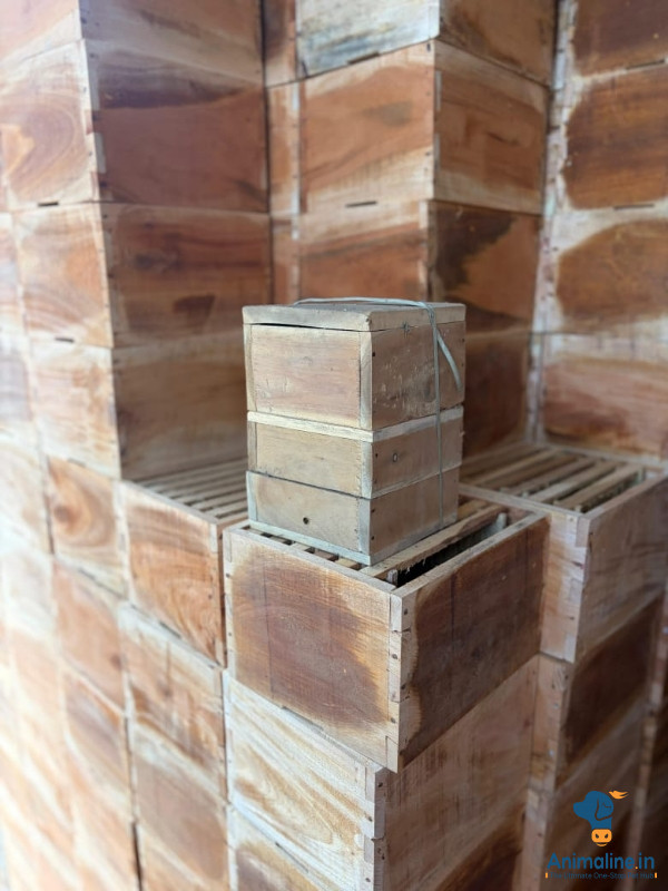 honey bees with box 