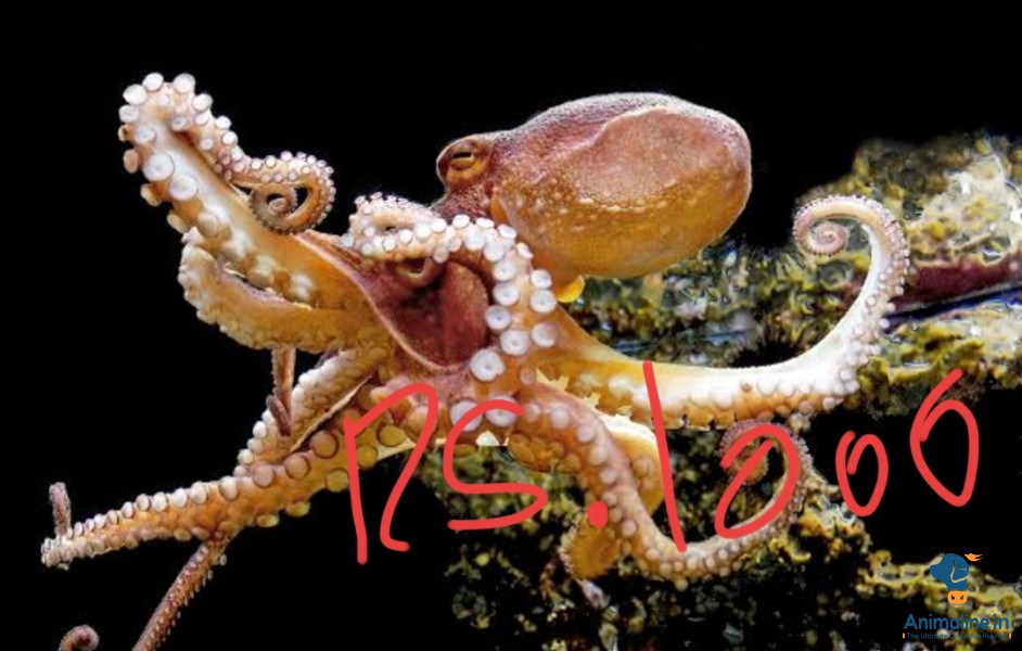 Male and female one month and one years all mix