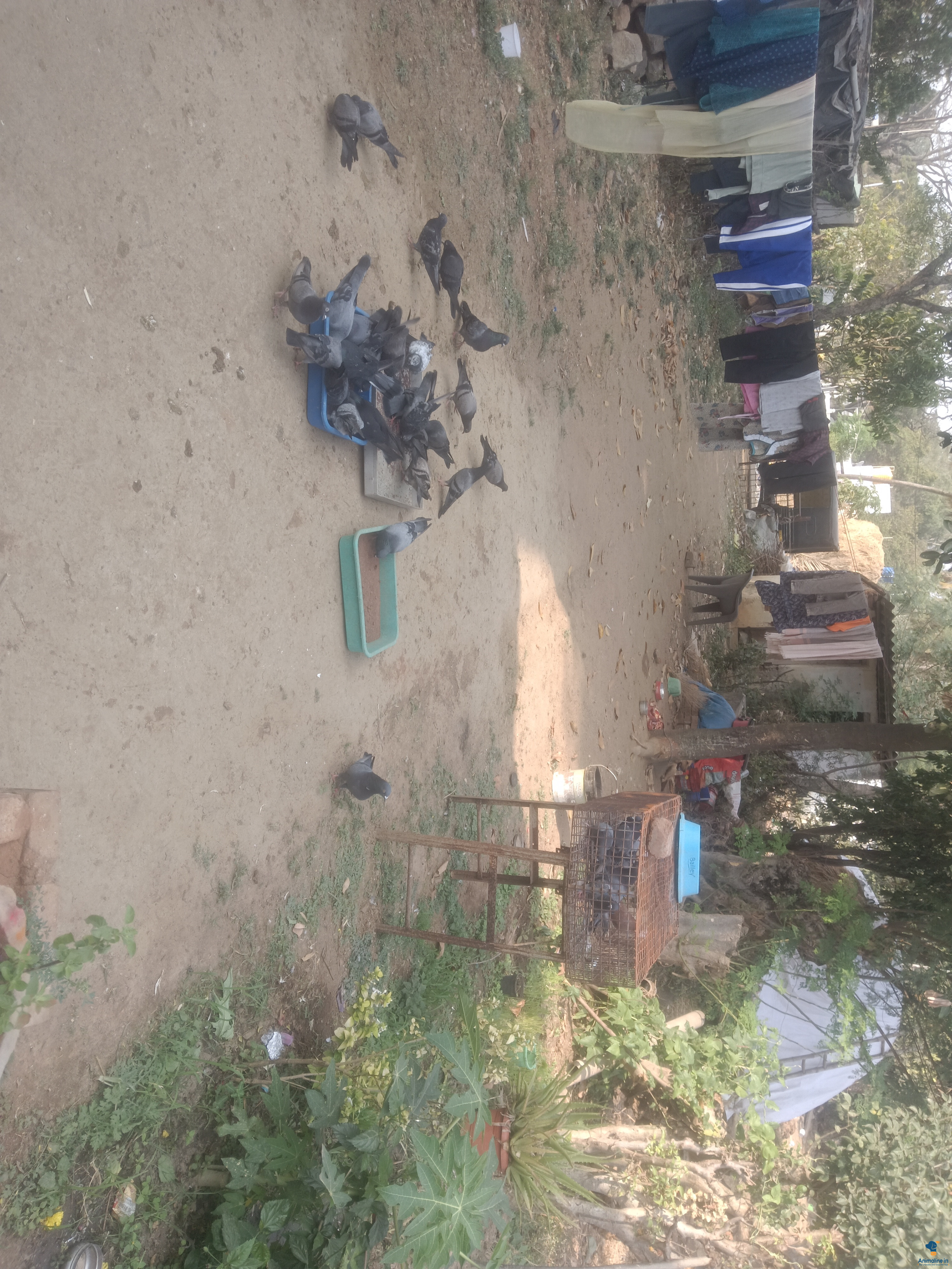 All types avelable best timeings giving 