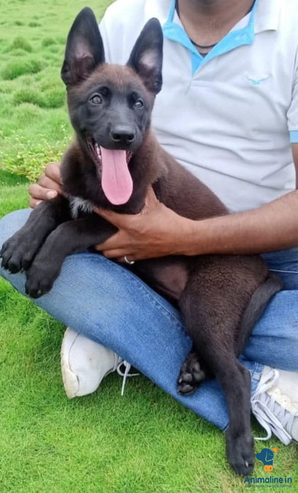 Its 2.5 month baby boy