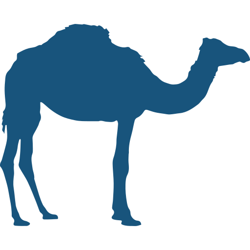 Camel