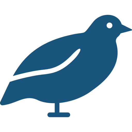 Quail