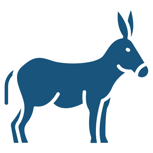 Donkey