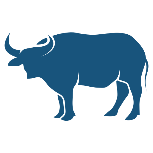 Buffalo