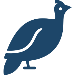 Guinea Fowl